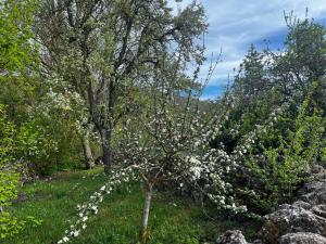 El Pecu Casa Rural Starfamiliar
