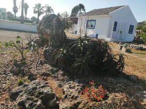 Medronhal Faro EM 520 - 2- casas de férias medronhal