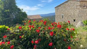 Maisons de vacances La Mistraline, 2 bedrm 2 bath house in the heart of Provence : photos des chambres