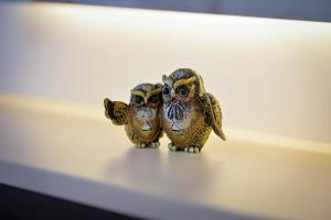 Amazon Royale Apartment