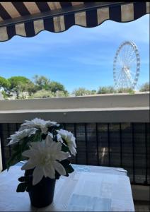 Paisible P1 face à la mer a 2 mn de la plage et du Centre Ville