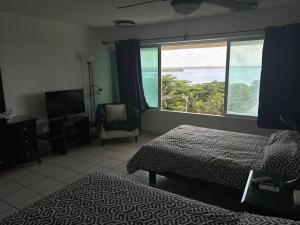 Vista Panorámica y Playa Cercana