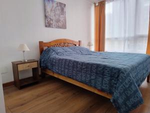 Apartamento Centro Santiago