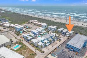 Dolphin Paradise BB928