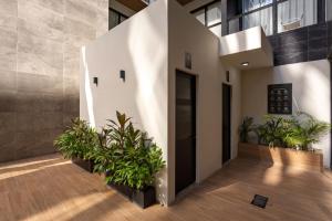 Hermoso Departamento Paraso Tropical en el Corazn de PdC