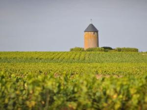 Gîte rénové avec terrasse et jardin à Clisson, proche gare, commerces, restaurants et vignoble nantais - FR-1-306-900