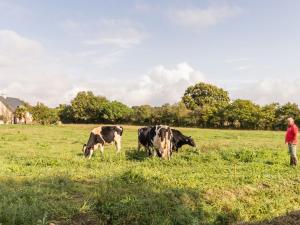 Maisons de vacances Maison bretonne renovee pres de la mer avec jardin, terrasse et equipements modernes - FR-1-306-1197 : photos des chambres