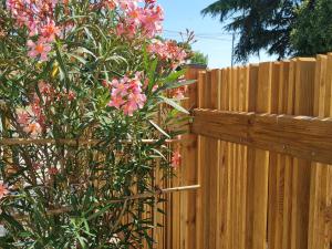 Maisons de vacances Studio cosy avec mezzanine, cour privative et espace vert a Rochetrejoux - FR-1-426-478 : Maison de Vacances (4 Adultes)