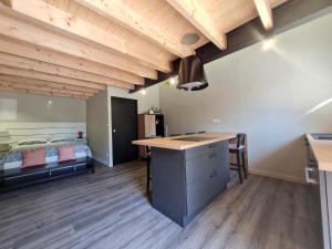 Maisons de vacances Charmant studio renove avec mezzanine, cour privative et parking a Rochetrejoux - FR-1-426-479 : photos des chambres