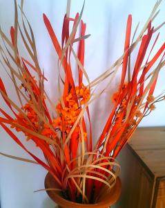 la fenice un apartamento de ensueño en Las Terrenas playa Punta Popy