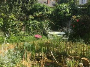 Gîte XIXè de charme à Candes-St-Martin avec jardin clos - FR-1-381-612