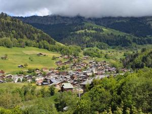 Chalet familial 8 pers, calme, nature à Beaufort - FR-1-342-335