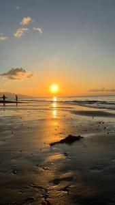 Beachfront Rice Field View Lovina Villa Serenity Bali