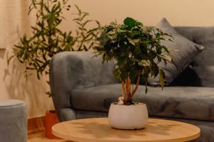 Apart Hotel Modern - Hanoi Old Quarter - Netflix - Elevator