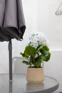 Cozy Flat in the Heart of Camden