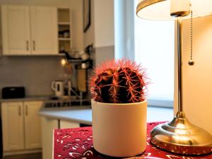 Sopot Comfy Apartment SA