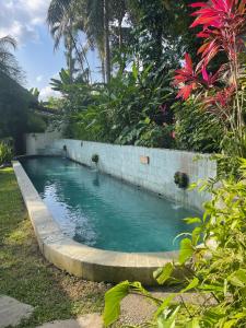 Heliconia, at T house kaja