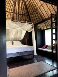 Heliconia, at T house kaja