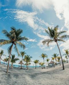 Escapada de Lujo frente al Mar