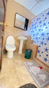 Mountain View Hostel