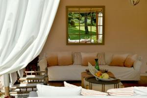 Seaside Villa In Marina Di Bibbona Pine Forest