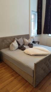Apartment Cottbus City - Erdgeschoss