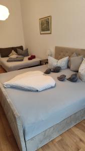 Apartment Cottbus City - Erdgeschoss