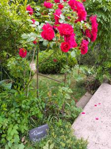 Le cottage de Cassandre