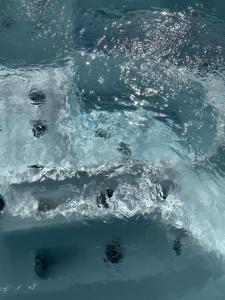 Bogáncs Vendégház - Nagybörzsöny