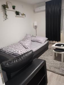 Stan na dan Pozarevac Apartman Olja