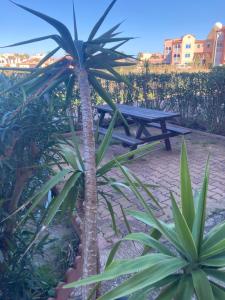 Appartements Le Barcares l ile de la coudalere residence Jamaica : Appartement 1 Chambre