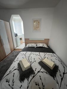 Студио Рози апартамент