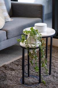 Snug CBD with Parking Your Winter Hideaway