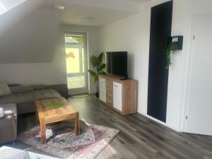 Sorinas Home WB16 Top 7