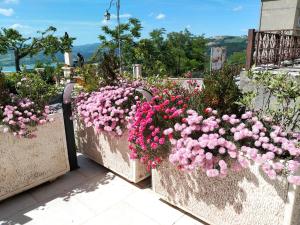 B&B Celeste - Palazzo DAddario