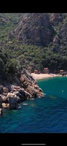 Appart'hotels Residenza l 'Alivetu : photos des chambres