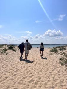 Campings Le Spot Saint-Trojan : photos des chambres