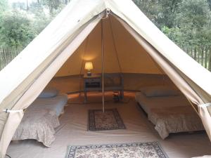 Campings Le Spot Saint-Trojan : Chambre Lits Jumeaux