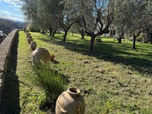 Le Camere Del Ceccottino