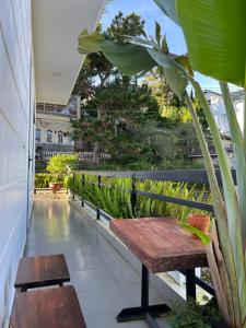 Ngôi nhà đầy nắng - Sunshine House 37A