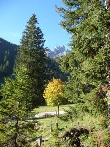 Ferienwohnung Hans Ebner