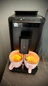 Jantaris B1 - Apartament 20m od plaży