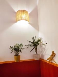 Maisons de vacances Ecrin Terracotta : photos des chambres