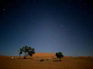 Desert Nights Camp