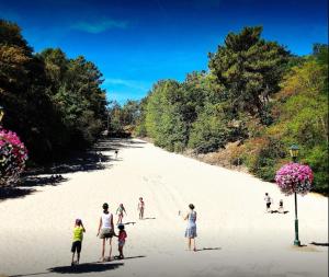 Lodge De Groene Parel