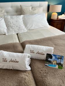 B&B / Chambres d'hotes Villa Antoline : photos des chambres