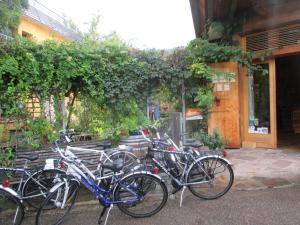 Maisons de vacances Ecologis du Vignoble : photos des chambres