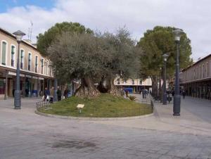 Vivienda Alcazar