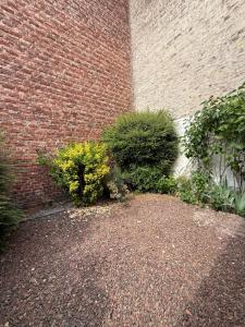 Villa Malo Étoile proche de la mer