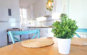 Oceanfront in Daimús - Ninomad 02 Light and views